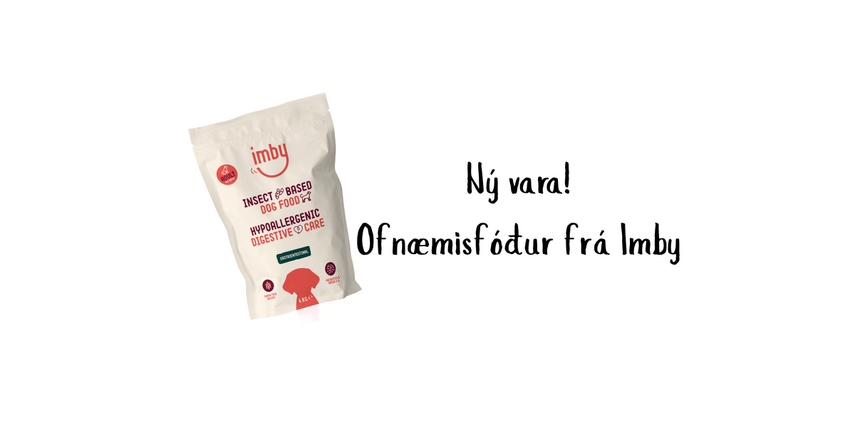 Er hundurinn þinn með fæðuóþol eða ofnæmi?