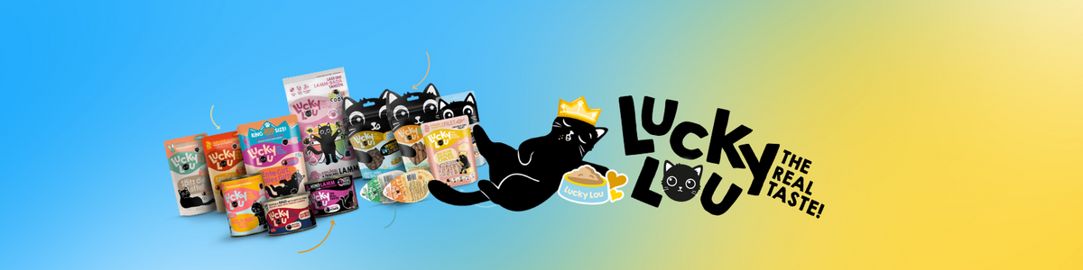 Hvað er Lucky Lou?