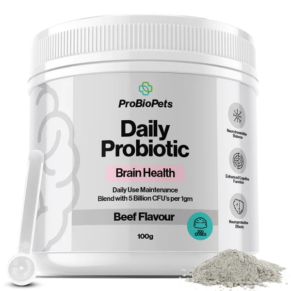Brain Health Probiotic For Pets - Fæðubótarefni - Móri