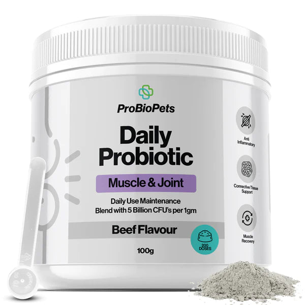 Muscle & Joint (100g) | Fæðubótarefni fyrir vöðva og liði hunda - Móri