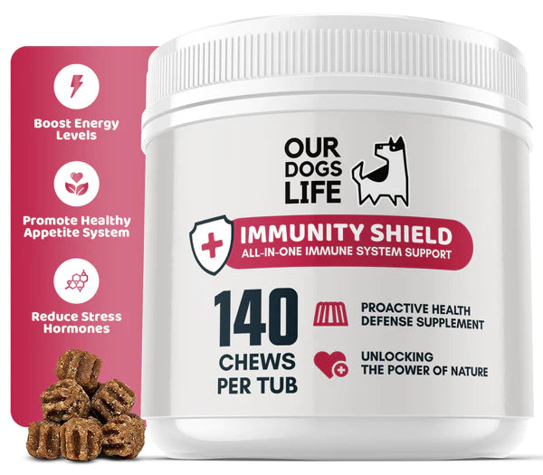 Immunity Shield Chews (140stk) | Nammi fyrir ónæmiskerfi hunda - Móri