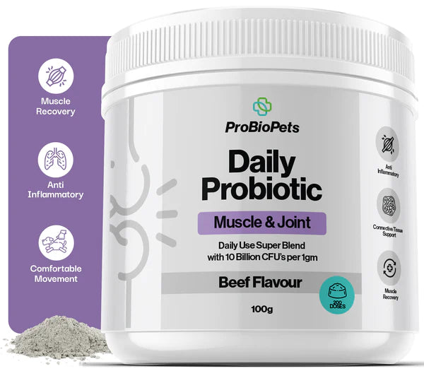 Muscle & Joint (100g) | Fæðubótarefni fyrir vöðva og liði hunda - Móri