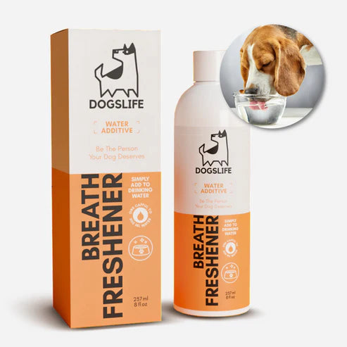 Dog Dental Water Additive (237ml) - Tannhreinsiefni fyrir hunda - Móri