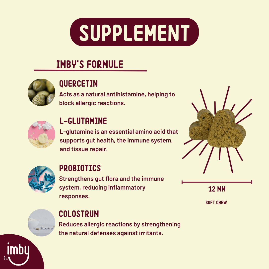 IMBY Allergy and Itch (90stk) - Fæðubótarefni - Móri