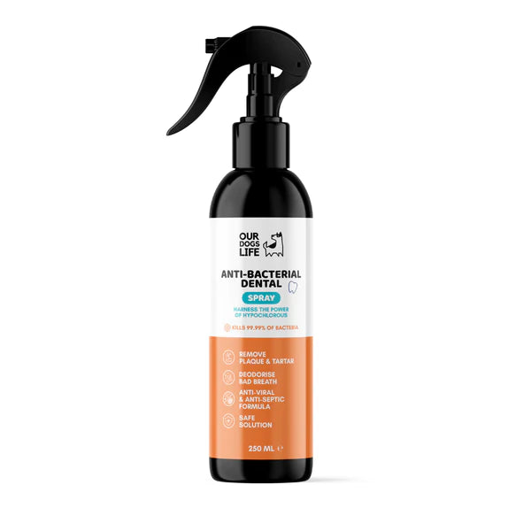 Dental Spray (250ml) - Tannhreinsiefni fyrir hunda - Móri