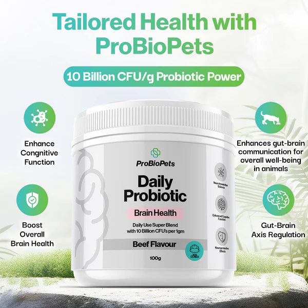 Brain Health Probiotic For Pets - Fæðubótarefni - Móri