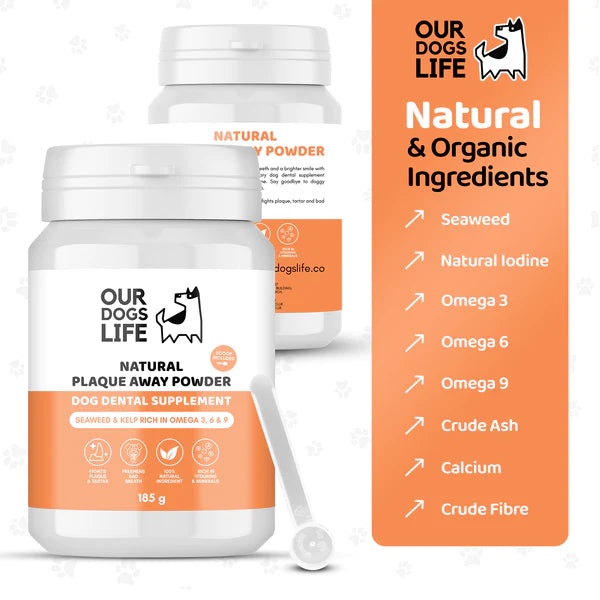 Plaque Away Powder (200g) | Tannsteins eyðir - Móri