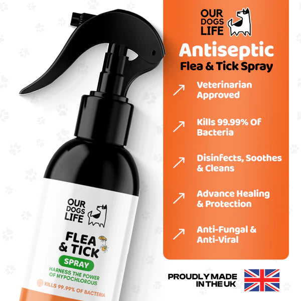 Hypochlorous Flea & Tick Spray - Flóa og mítlasprey - Móri
