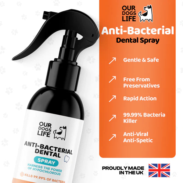 Dental Spray (250ml) - Tannhreinsiefni fyrir hunda - Móri