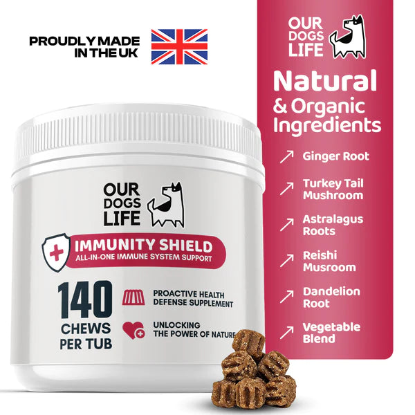 Immunity Shield Chews (140stk) | Nammi fyrir ónæmiskerfi hunda - Móri