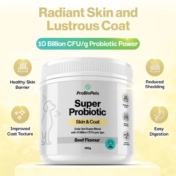 Skin & Coat (100g) | Fæðubótarefni fyrir feld hunda og ketti - Móri