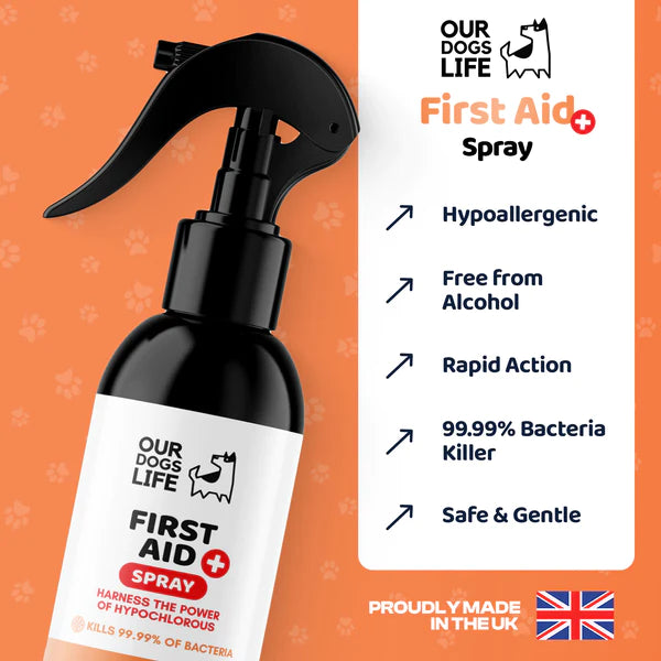 First Aid Spray (250ml) | Sótthreinsandi sprey fyrir sár og skrámur hjá hundum - Móri