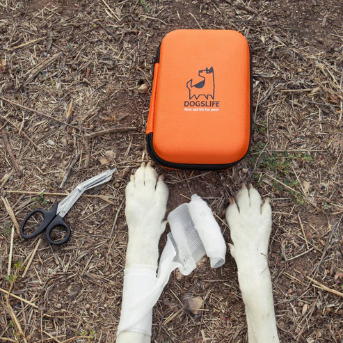 First Aid Kit | Fyrstu hjálpar kassi fyrir hunda og ketti - Móri