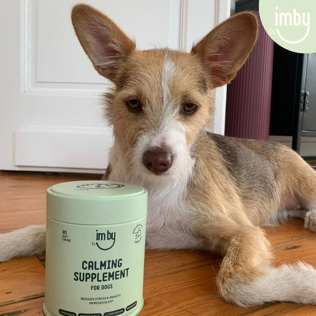 IMBY Calming (90stk) - fæðubótaefni - Móri