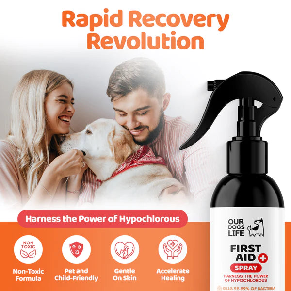 First Aid Spray (250ml) | Sótthreinsandi sprey fyrir sár og skrámur hjá hundum - Móri