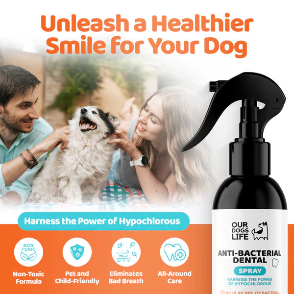 Dental Spray (250ml) - Tannhreinsiefni fyrir hunda - Móri