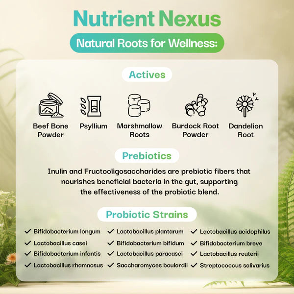 Brain Health Probiotic For Pets - Fæðubótarefni - Móri