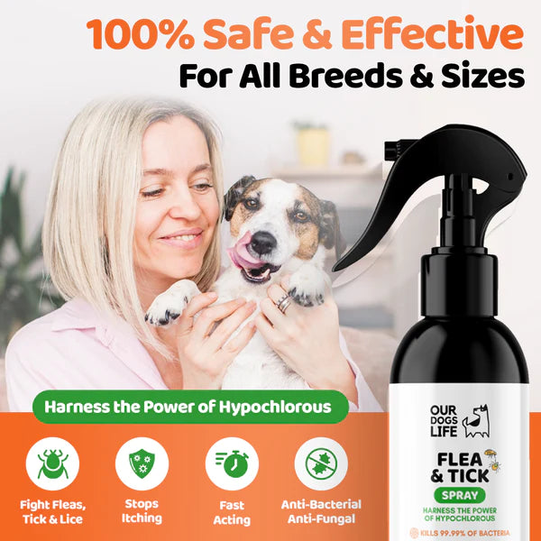 Hypochlorous Flea & Tick Spray - Flóa og mítlasprey - Móri