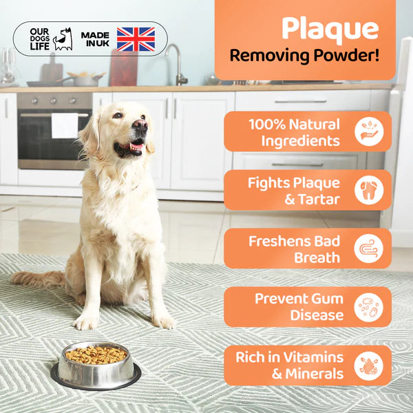 Plaque Away Powder (200g) | Tannsteins eyðir - Móri