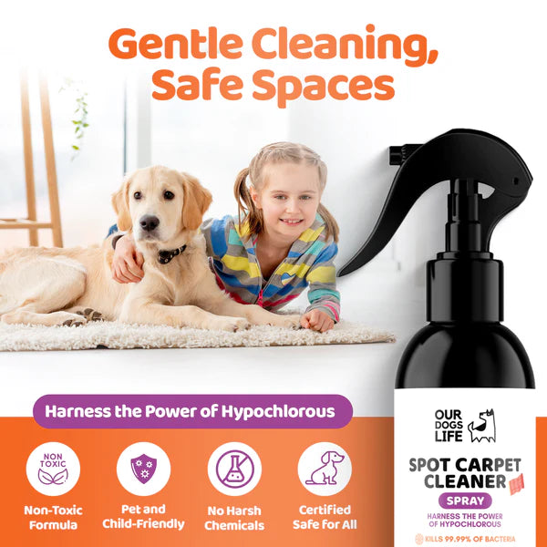 Spot Carpet Cleaner (250ml) Blettahreinsir - Móri