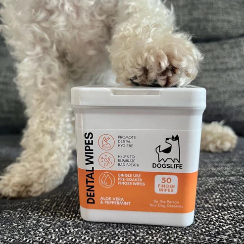 Dental Wipes (50stk) | Hreinsiklútar fyrir tennur hunda - Móri