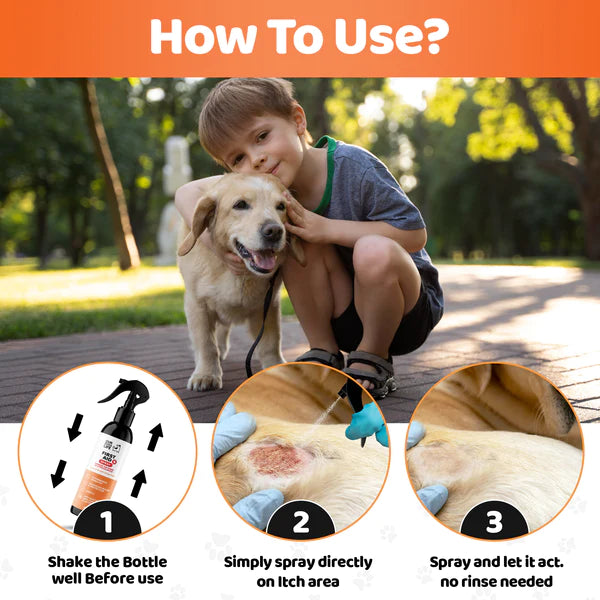 First Aid Spray (250ml) | Sótthreinsandi sprey fyrir sár og skrámur hjá hundum - Móri
