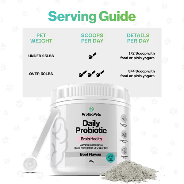 Brain Health Probiotic For Pets - Fæðubótarefni - Móri