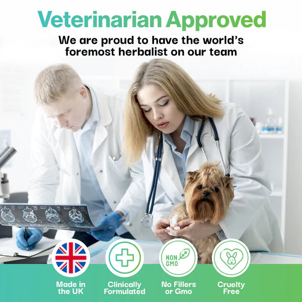 Brain Health Probiotic For Pets - Fæðubótarefni - Móri