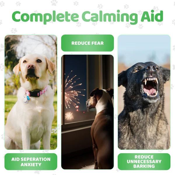 Calming Chews - Róandi nammibitar - Móri