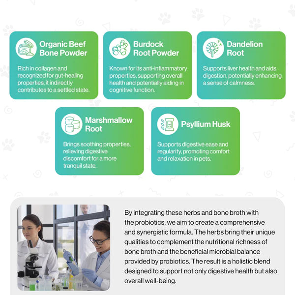 Brain Health Probiotic For Pets - Fæðubótarefni - Móri
