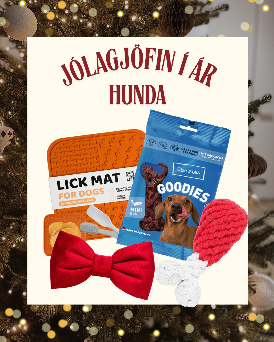 Jólagjöfin í ár | Fyrir hunda