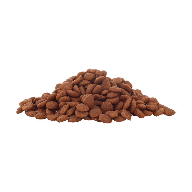 Food Code Adult þurrmatur fyrir ketti | Kjúklingur - Móri