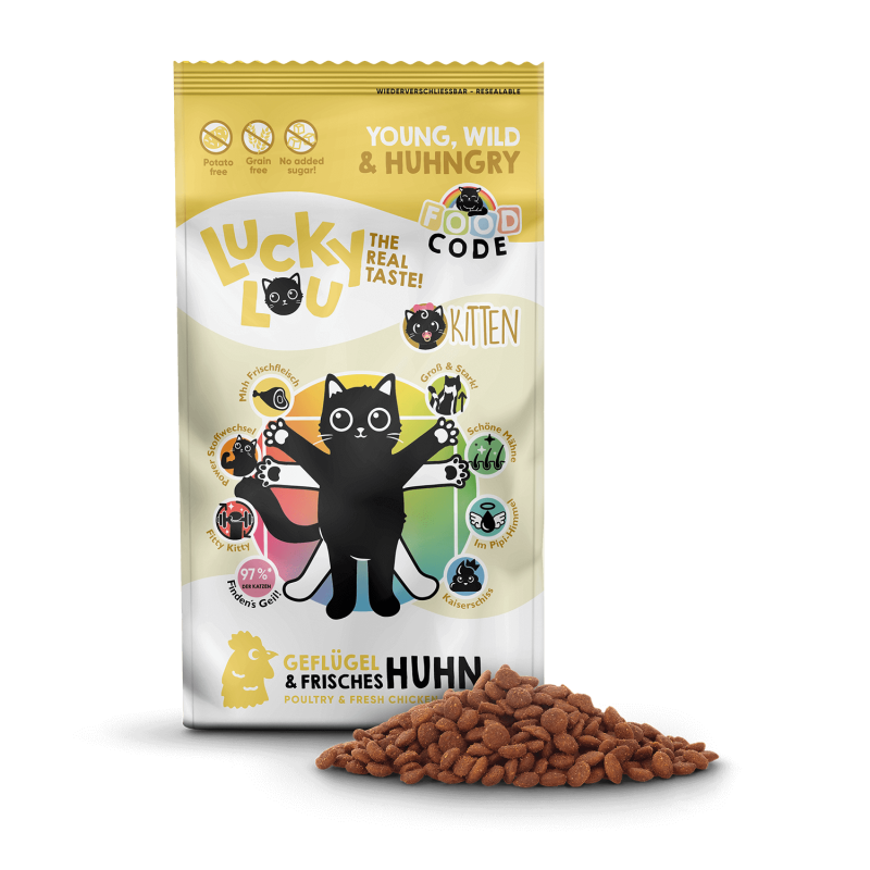 Food Code Kitten þurrmatur fyrir kettlinga | Kjúklingur - Móri