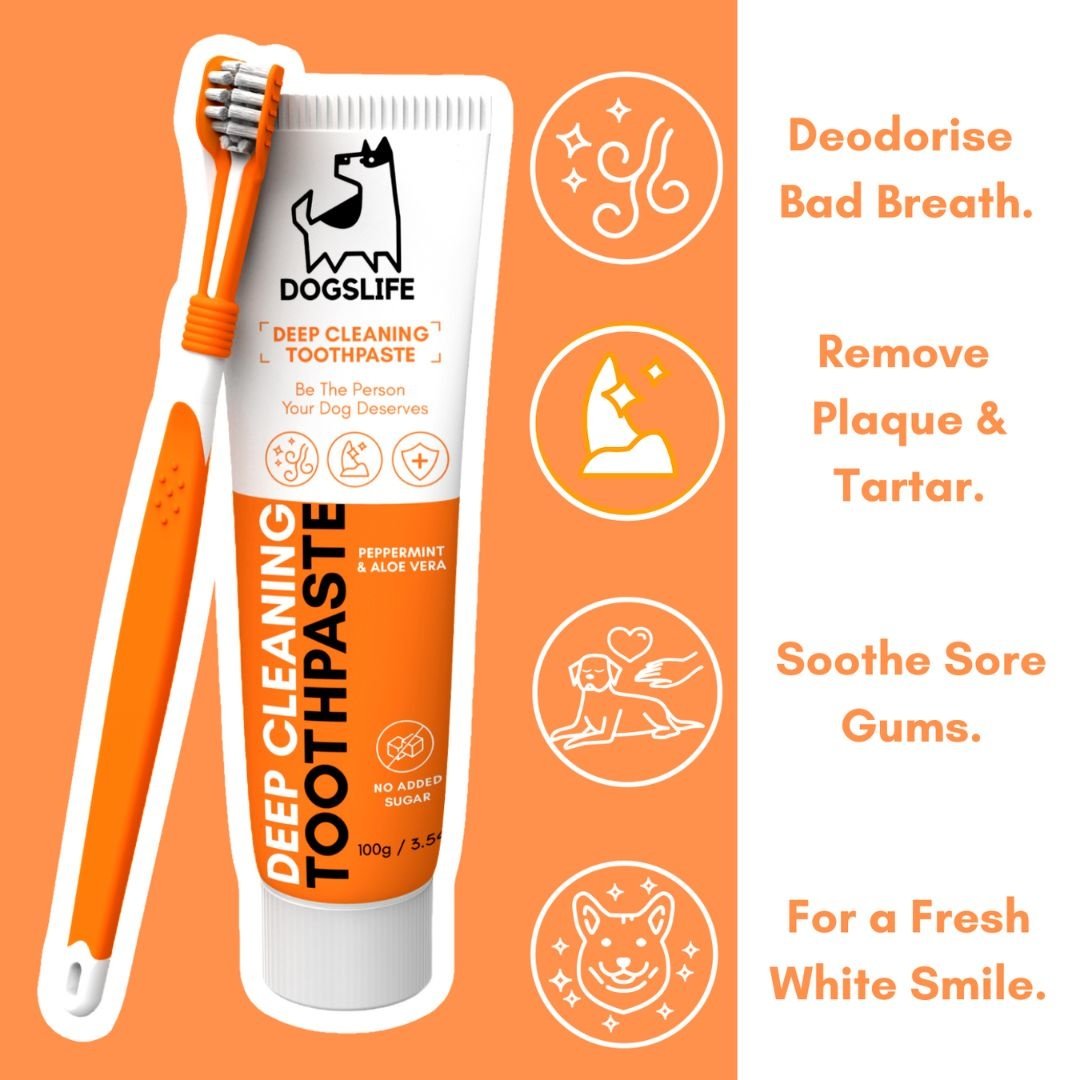 Dental Care Kit | 2 tannkremstúbur, tannbursti og 2 sílikonburstar