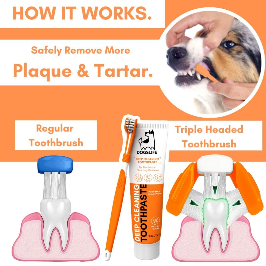 Dental Care Kit | 2 tannkremstúbur, tannbursti og 2 sílikonburstar