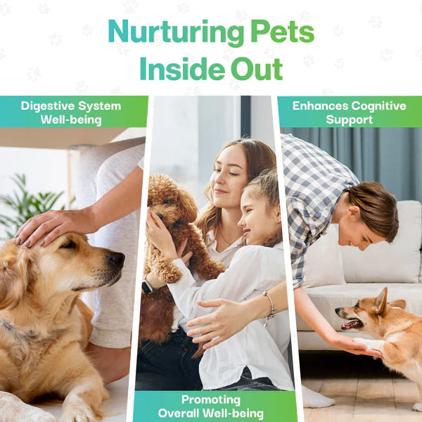 Brain Health Probiotic For Pets - Fæðubótarefni - Móri