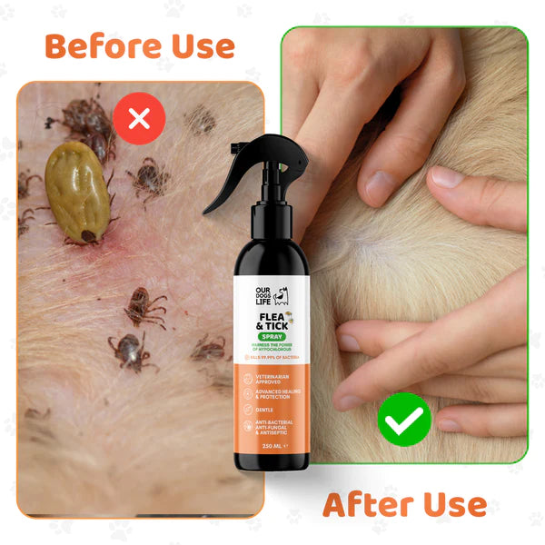 Hypochlorous Flea & Tick Spray - Flóa og mítlasprey - Móri