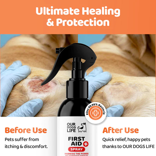 First Aid Spray (250ml) | Sótthreinsandi sprey fyrir sár og skrámur hjá hundum - Móri