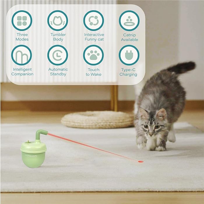 Bubble tea | 360°Laser kattaleikfang - Móri