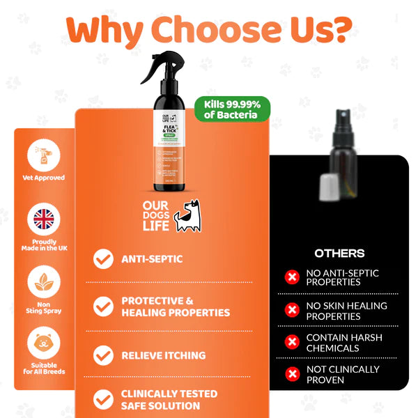 Hypochlorous Flea & Tick Spray - Flóa og mítlasprey - Móri