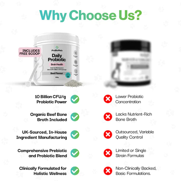 Brain Health Probiotic For Pets - Fæðubótarefni - Móri