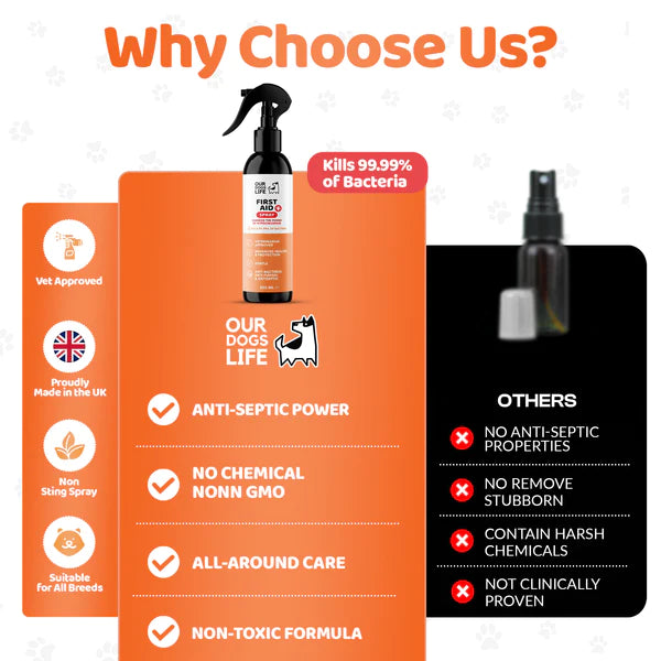 First Aid Spray (250ml) | Sótthreinsandi sprey fyrir sár og skrámur hjá hundum - Móri