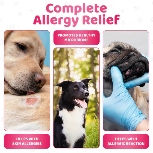 Itch Relief Dog Chews - Kláðastillandi nammibitar - Móri