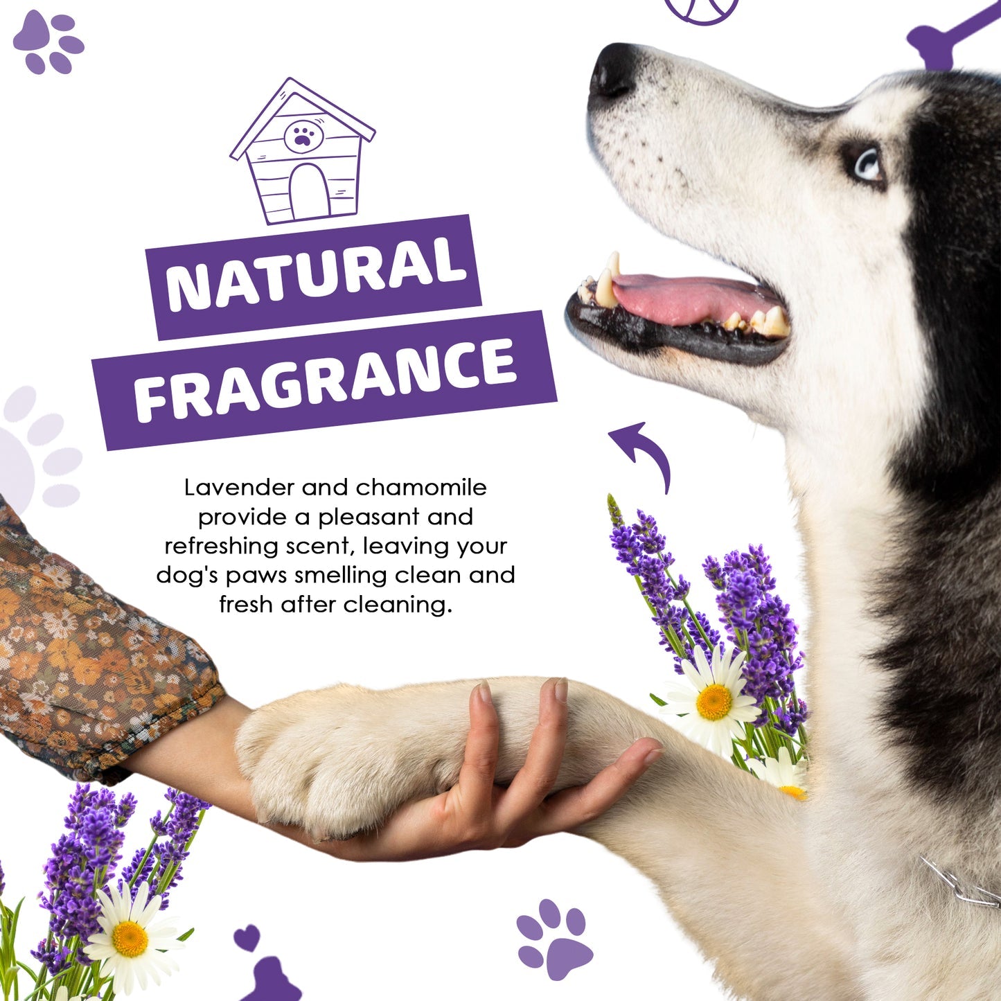 Paw Cleaner (200ml) | Loppuhreinsir með klúti og innbyggðum bursta - Móri