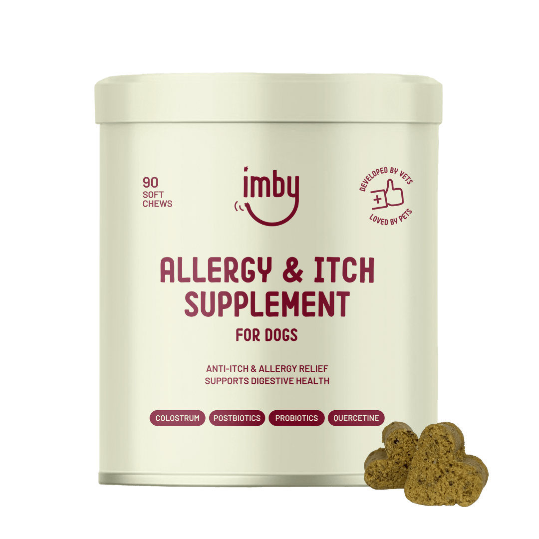 IMBY Allergy and Itch (90stk) - Fæðubótarefni - Móri