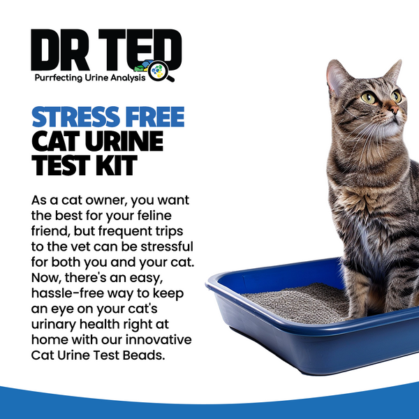 Cat Urine Test Kit Hematuria / Blood Detector - Próf sem greinir þvagfærasýkingu og þvagblöðru vandamál - Móri