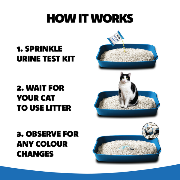 Cat Urine Test Kit Hematuria / Blood Detector - Próf sem greinir þvagfærasýkingu og þvagblöðru vandamál - Móri