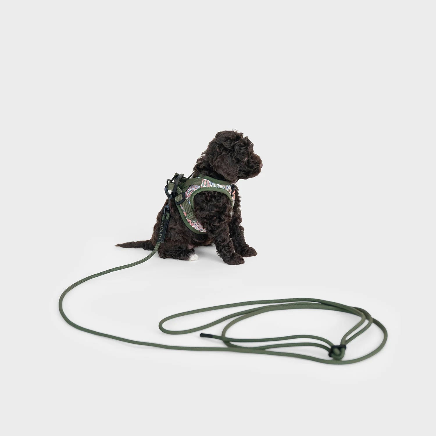 LTTL Taumur - Dark Olive