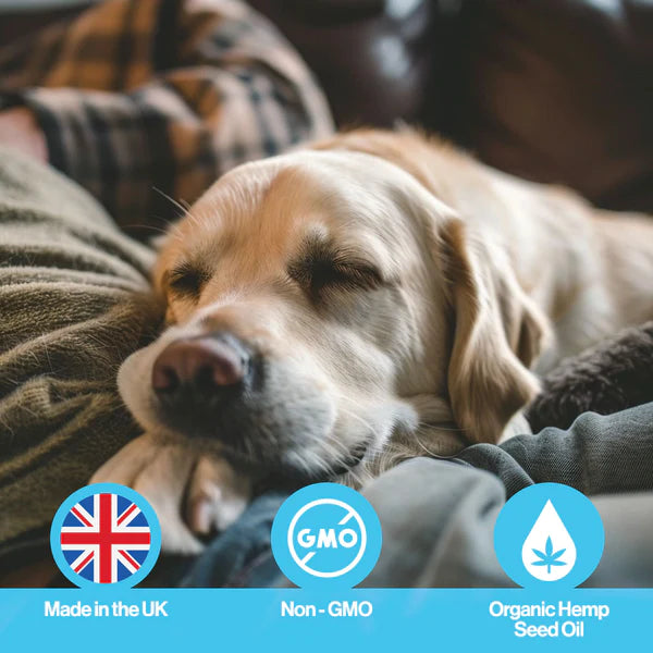 Calm Hemp Oil (300ml) | Hampolía fyrir hunda og ketti | Róandi - Móri