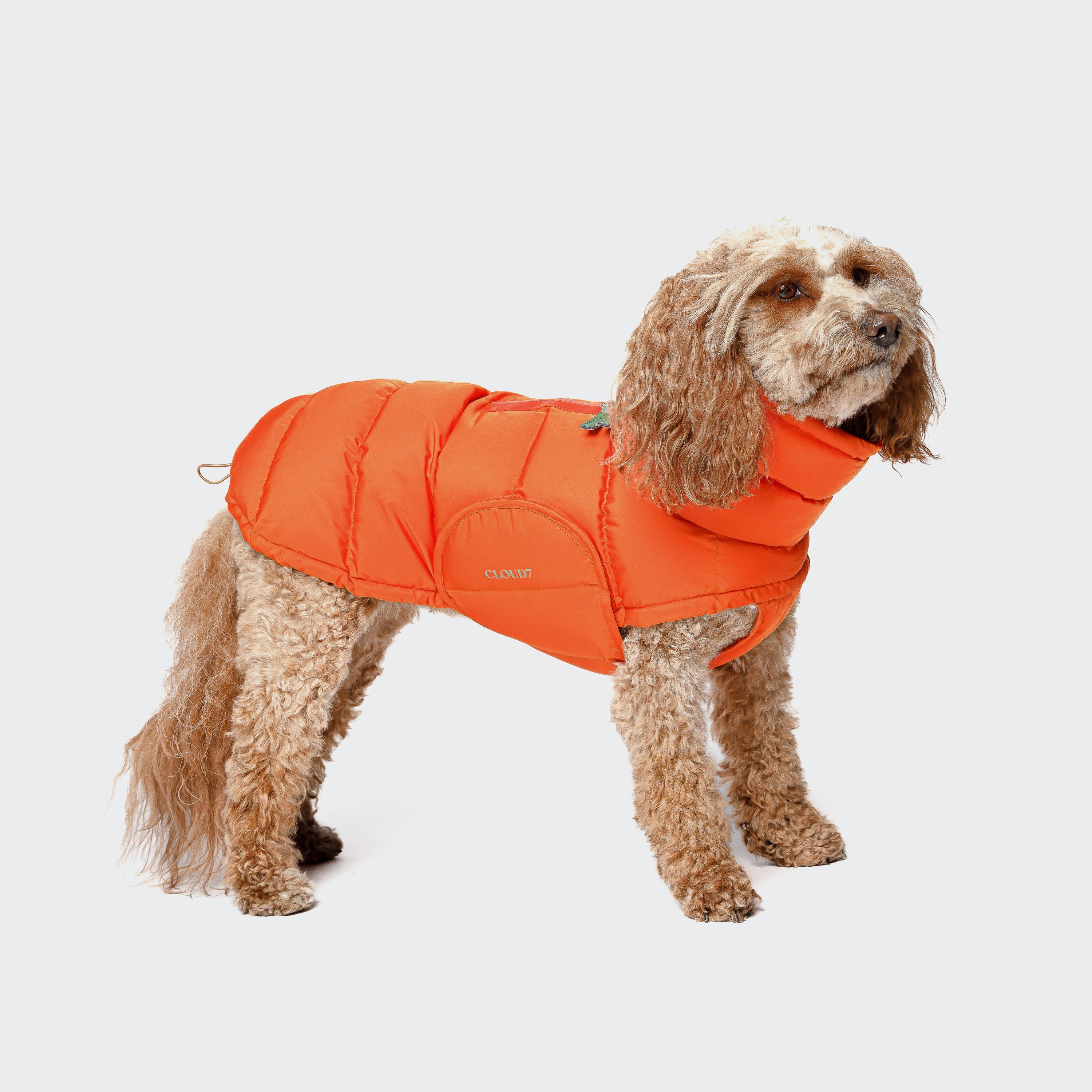 ALASKA Burnt Orange jakki - Móri